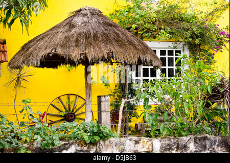 scenic tourism image Cozumel Mexcio Stock Photo