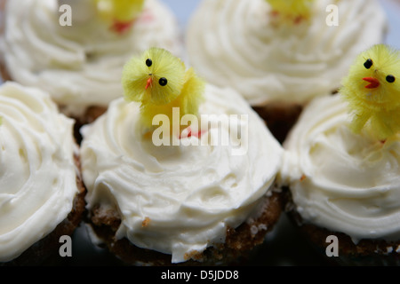 Belfast,Northern Ireland UK 3rd April 2013 Easter cups cakes with yellow chicks on top Stock Photo
