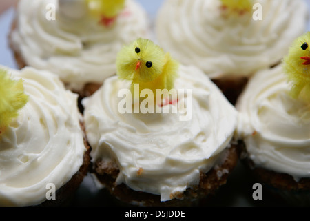 Belfast,Northern Ireland UK 3rd April 2013 Easter cups cakes with yellow chicks on top Stock Photo