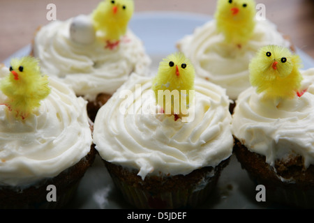 Belfast,Northern Ireland UK 3rd April 2013 Easter cups cakes with yellow chicks on top Stock Photo