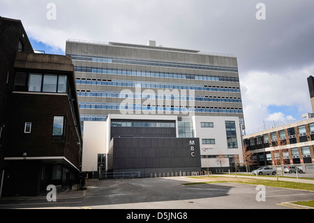 Medical Biology Centre, Queens University Belfast Stock Photo