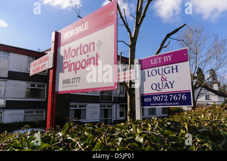 Estate agents signs Stock Photo