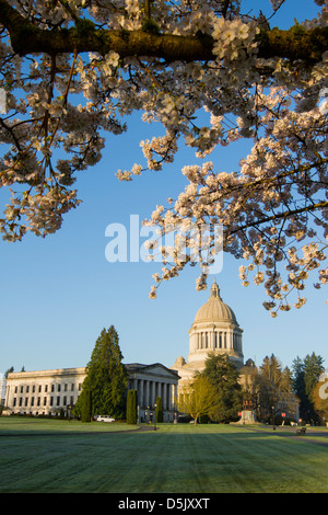 Washington State Capitol building in Olympia. Stock Photo