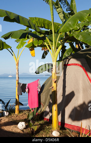 Madagascar, Nosy Be, Marodokana, Operation Wallacea diving camp tent beneath banana tree Stock Photo