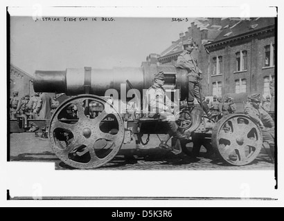 Austrian siege gun in Belg. [i.e., Belgium] (LOC) Stock Photo