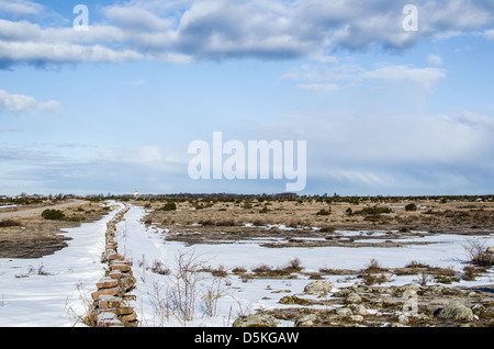 A stonewall with remaining snow cross over the Great Alvar Plain at the island Öland in Sweden Stock Photo