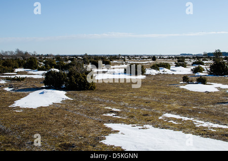 The last snow at springtime at the Great Alvar Plain, an unique landscape on the swedish island Oland in the Baltic Sea Stock Photo