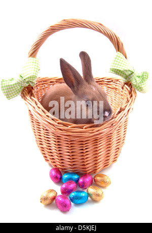 Basket with brown rabbit and chocolate eggs isolated over white Stock Photo