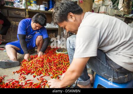 March 6, 2013 - Bangkok, Thailand - Men sort chilies in a market in Bangkok. Thailand's economic expansion since the 1970 has dramatically reduced both the amount of poverty and the severity of poverty in Thailand. At the same time, the gap between the very rich in Thailand and the very poor has grown so that income disparity is greater now than it was in 1970. Thailand scores .42 on the ''Ginni Index'' which measures income disparity on a scale of 0 (perfect income equality) to 1 (absolute inequality in which one person owns everything). Sweden has the best Ginni score (.23), Thailand's score Stock Photo