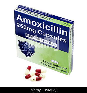 Amoxycillin 250mg capsules for penicillin treatment Stock Photo