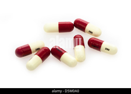 Amoxycillin 250mg capsules for penicillin treatment Stock Photo