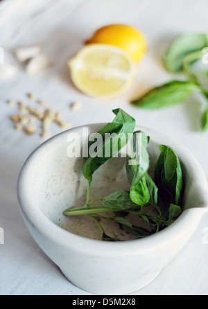 Basil pesto ingredients Stock Photo