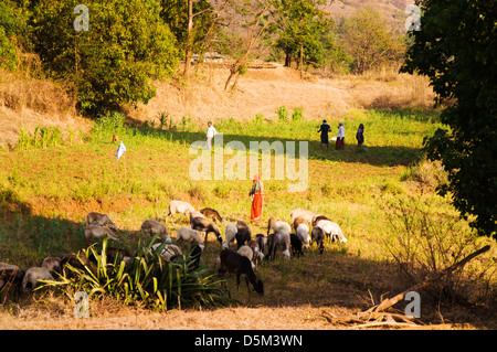 Rural Indian farming community in Khubalivali Village Mulshi Valley Paud Maharashtra India Stock Photo