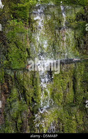 Water running over mossy wall in the Clydach Gorge, Wales, UK Stock Photo