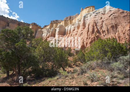 Echo Canyon, Carson National Forest in southern Colorado Stock Photo