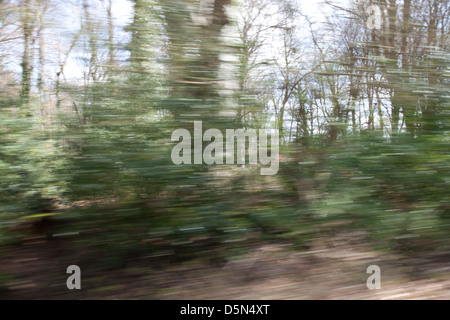 Bushes and trees viewed from a speeding car Stock Photo