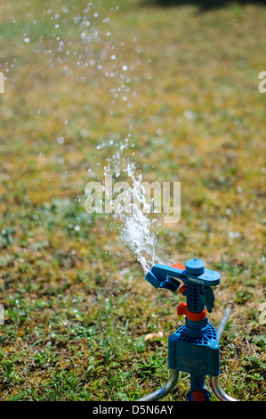 Irrigation system in home garden. Automatic watering lush green lawn ...