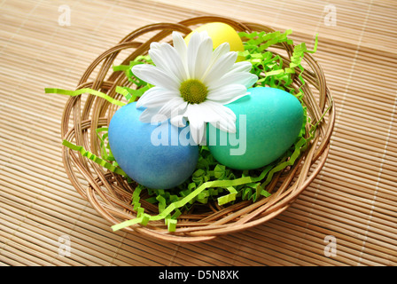 Spring Daisy on Easter Eggs Stock Photo