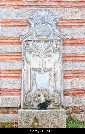 A stray cat drinks from the ablution tap at the Hagia Irene Mosque in Istanbul, Turkey. Stock Photo