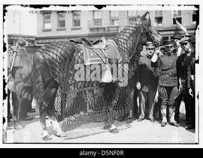 Gen. Grant's horse (LOC) Stock Photo