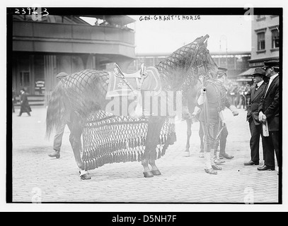 Gen. Grant's horse (LOC) Stock Photo