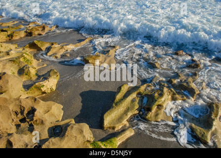 Ocean waves breaking on the rocky shore of Blowing Rocks Preserve at sunrise on Jupiter Island in Hobe Sound, Florida. (USA) Stock Photo