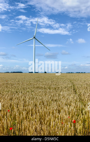 Wind turbine in a wheat field with a few poppies on a bright summer's day with blue sky near Beverley, Yorkshire, UK.