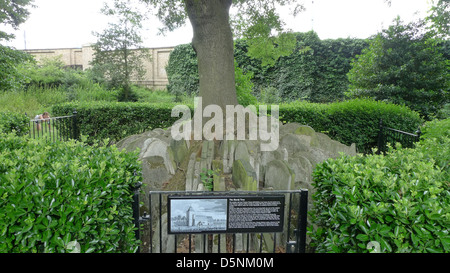 The Hardy Tree in the grounds of St. Pancras Old Church, London, UK. Stock Photo