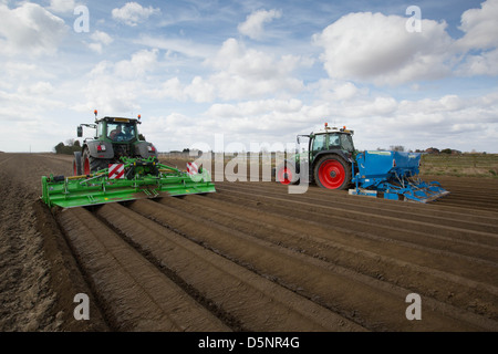 Planting potatoes in Lincolnshire Stock Photo - Alamy
