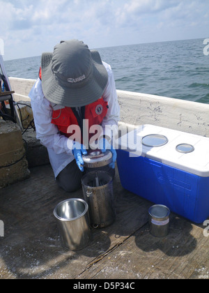 deep water horizon equpment measurement oil spill Stock Photo