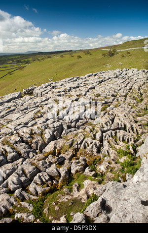 Limestone pavement or clints and grykes formed from solution weathering ...