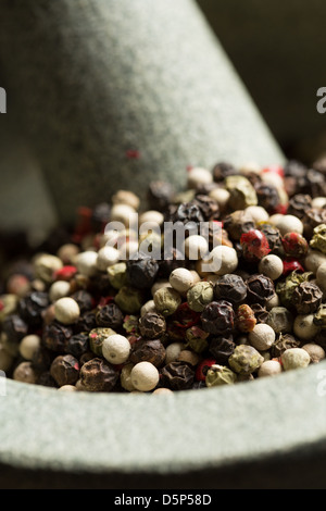 Mixed peppercorns in mortar with pestle Stock Photo