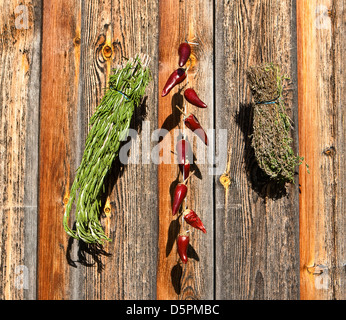 Drying of spices - rosemary, red pepper, a thyme Stock Photo