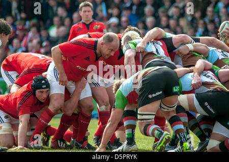 Scrum down during the Heineken Cup quarter-final match between Harlequins and Munster at the Twickenham Stoop, London, England, UK on April 7th, 2013. Stock Photo