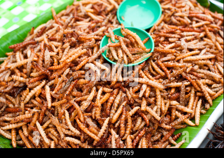 Thai food at market. Fried insects mealworms for snack Stock Photo