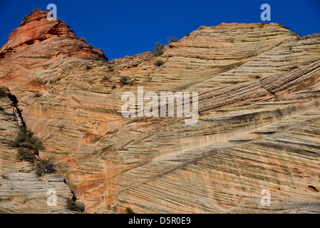 Cross beds of aeolian sandstone. Zion National Park, Utah, USA. Stock Photo