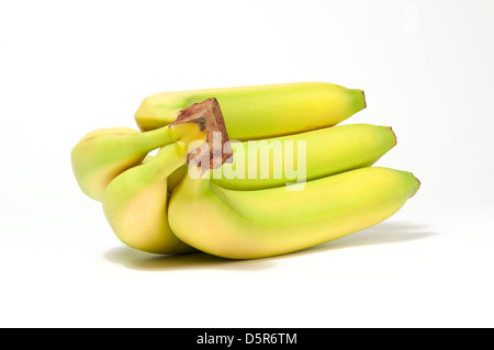 bunch of bananas Stock Photo