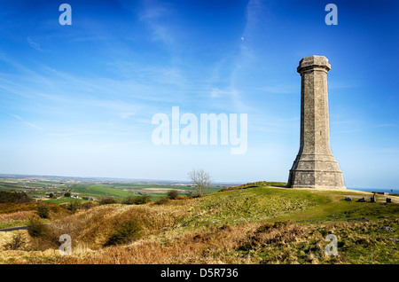 The Hardy monument on Black Down at Porchester near Dorchester in Dorset Stock Photo