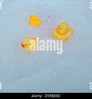 three rubber ducks swimming in foam Stock Photo