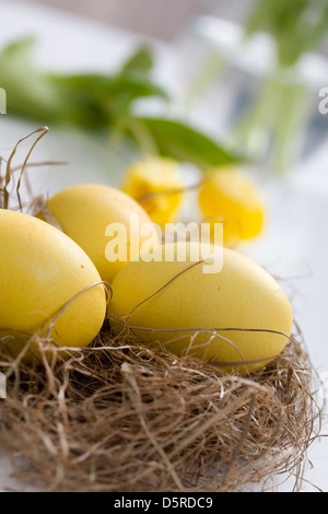Yellow easter eggs with tulips on background Stock Photo