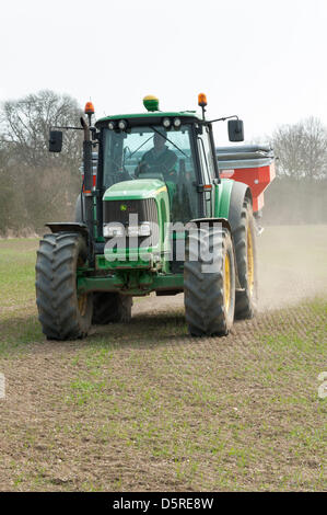 Cambridgeshire, UK. 8th April 2013. Alex Campbell spreads fertiliser on a wheat crop in Cambridgeshire UK 8th April 2013. Farmers in East Anglia have been making the most of the current dry weather to catch up with spring tasks such as spraying, drilling and fertilising. Crop growth has been stunted by the prolonged cold and wet weather this spring and the wheat is much shorter than it normally is at this time of year. There are concerns that yields may be reduced this year. Credit: Julian Eales / Alamy Live News Stock Photo