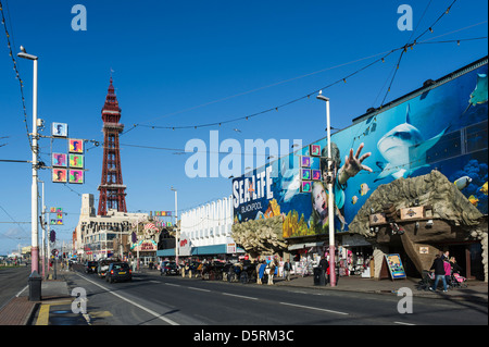 Sealife Centre and Blackpool Tower, Blackpool seafront, Lancashire, England, UK Stock Photo