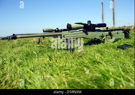 British Sniper with AI L115A3 sniper rifle, Stock Photo