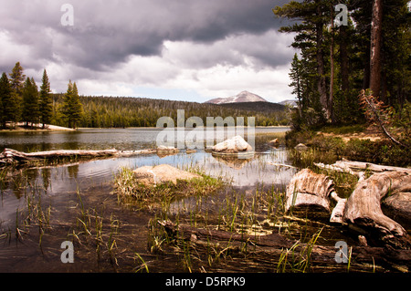 Dog lake in Yosemite National Park Stock Photo