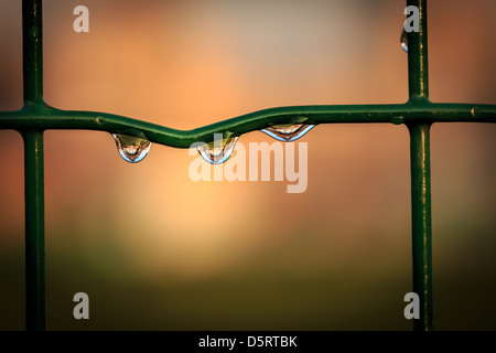 Reflection of the Eiffel Tower in water drops, Paris, France Stock Photo