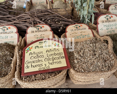 PALMA MARKET Variety of herbs herbal medicinal curative remedies on display for sale Palma de Mallorca market stall  Spain Stock Photo