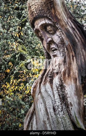 Sculptures from Frank Bruce Sculpture Park in Feshiebridge,Glen Feshie in Scotland Stock Photo