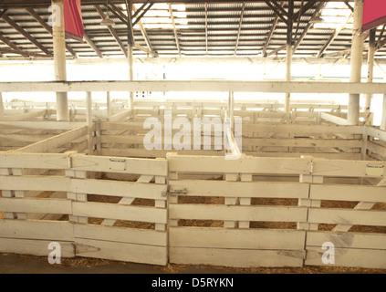 livestock stalls for showing farm animals for competitions Stock Photo