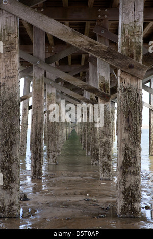 Details of wooden pillars at  Powder Point Duxbury Bridge ,  Massachusetts, USA Stock Photo