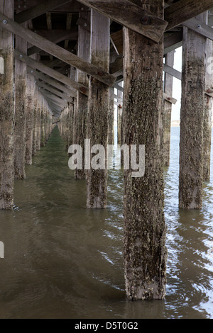 Details of wooden pillars at  Powder Point Duxbury Bridge ,  Massachusetts, USA Stock Photo